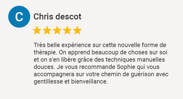 Avis Google